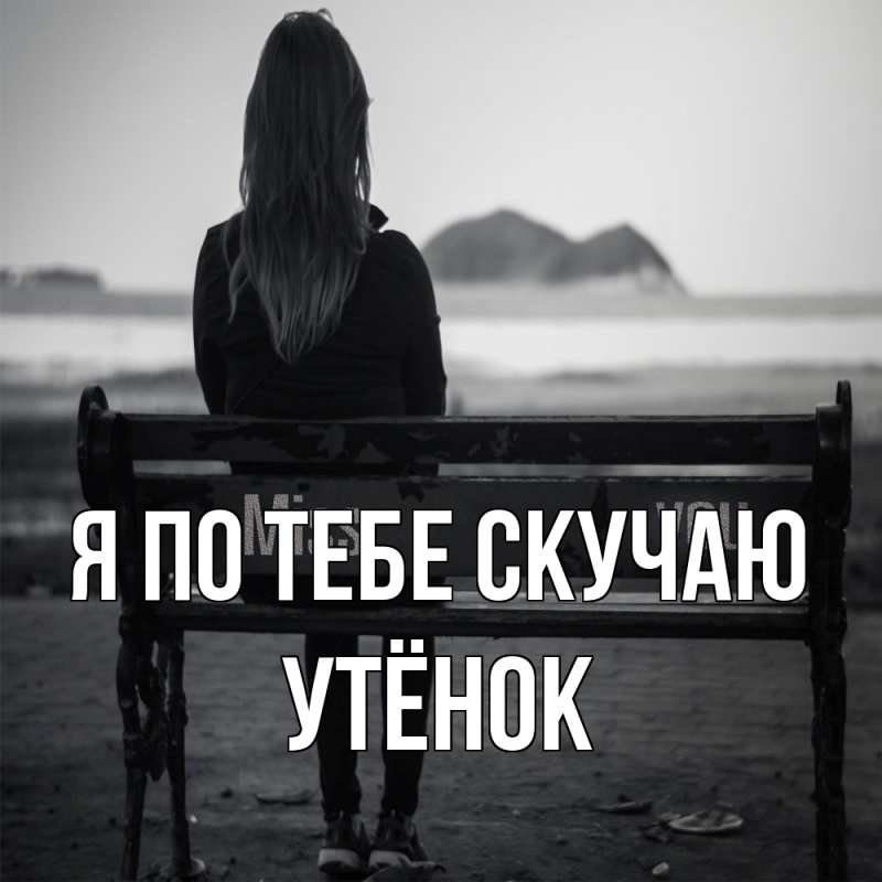 Картинка Я по тебе скучаю, Утёнок