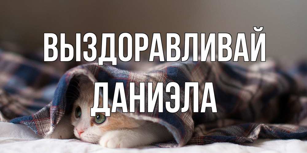 Открытка на каждый день с именем, Даниэла Выздоравливай не болейте с котиком Прикольная открытка с пожеланием онлайн скачать бесплатно 