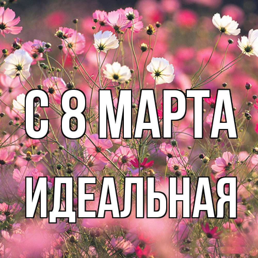 Открытка на каждый день с именем, идеальная C 8 МАРТА красиво 1 Прикольная открытка с пожеланием онлайн скачать бесплатно 
