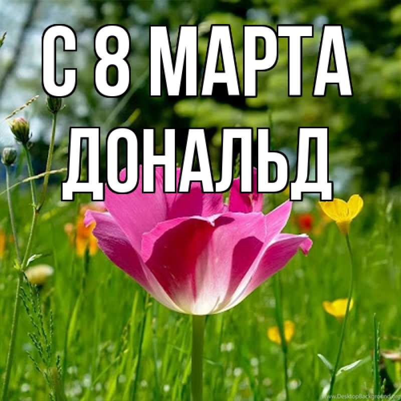 Картинка C 8 МАРТА, Дональд