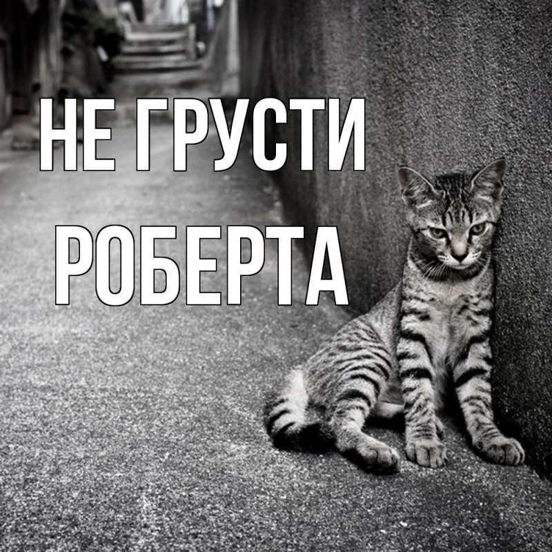 Картинка Не грусти, Роберта