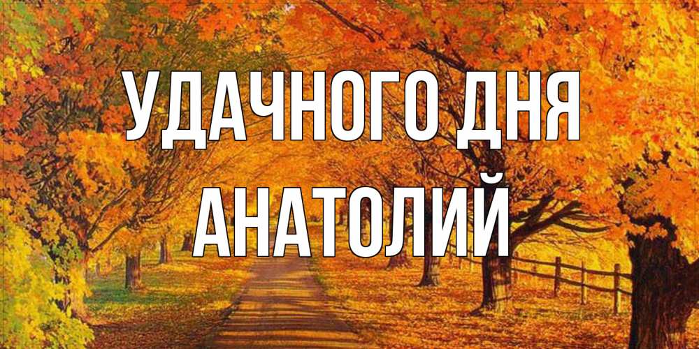 Открытка на каждый день с именем, Анатолий Удачного дня деревья с осенними листьями Прикольная открытка с пожеланием онлайн скачать бесплатно 