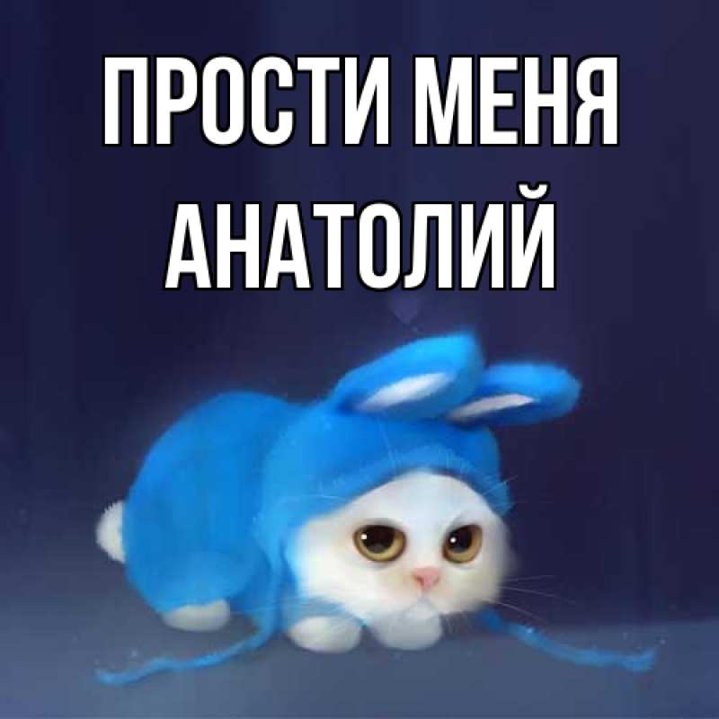 Картинка Прости меня, Анатолий