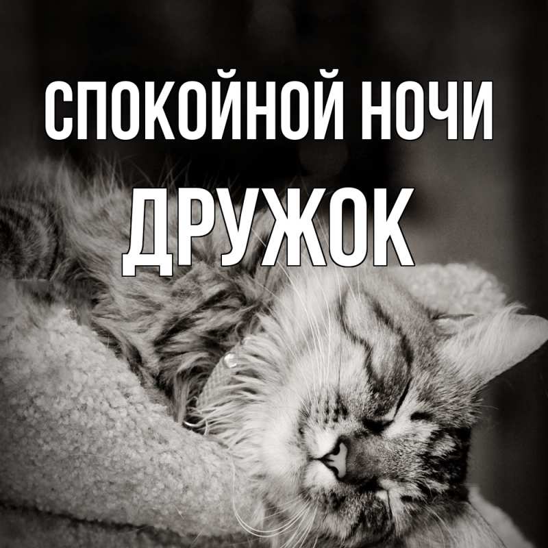 Картинка Спокойной ночи, Дружок