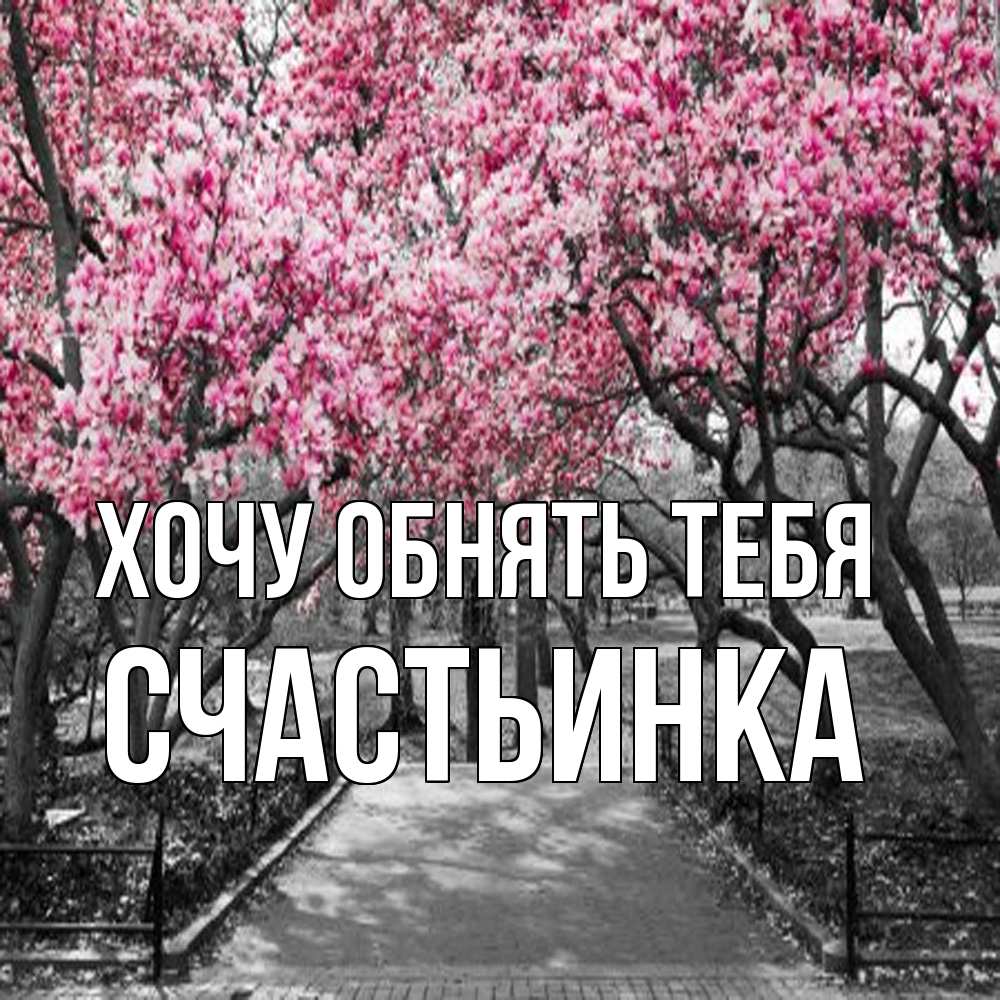 Открытка на каждый день с именем, Счастьинка Хочу обнять тебя обработанное фото Прикольная открытка с пожеланием онлайн скачать бесплатно 