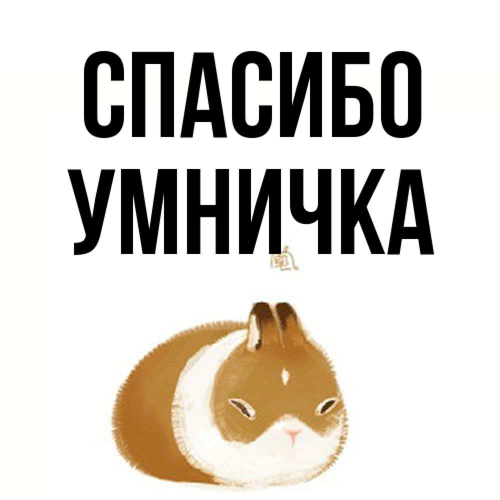 Открытка на каждый день с именем, Умничка Спасибо коричнево белый домашний питомец Прикольная открытка с пожеланием онлайн скачать бесплатно 