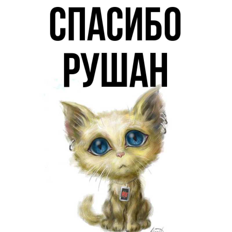 Картинка Спасибо, Рушан