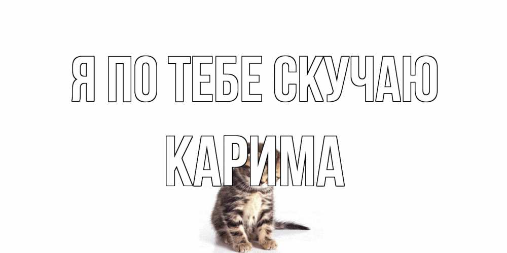 Открытка на каждый день с именем, Карима Я по тебе скучаю кот Прикольная открытка с пожеланием онлайн скачать бесплатно 