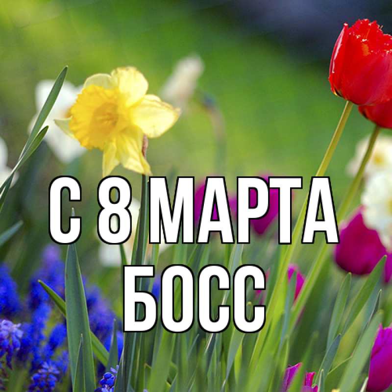 Картинка C 8 МАРТА, Босс