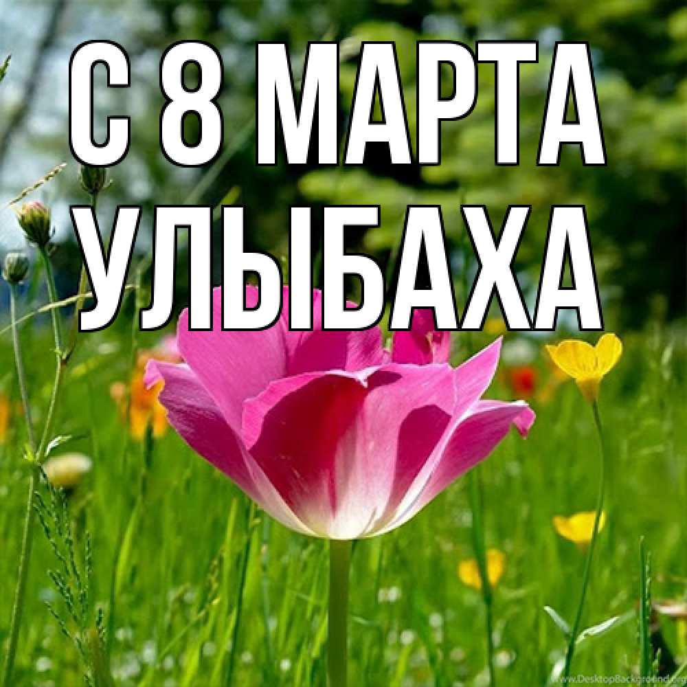 Открытка на каждый день с именем, Улыбаха C 8 МАРТА полевые цветы Прикольная открытка с пожеланием онлайн скачать бесплатно 