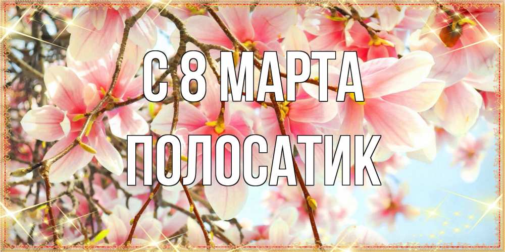 Открытка на каждый день с именем, полосатик C 8 МАРТА цветы деревьев на 8 марта Прикольная открытка с пожеланием онлайн скачать бесплатно 
