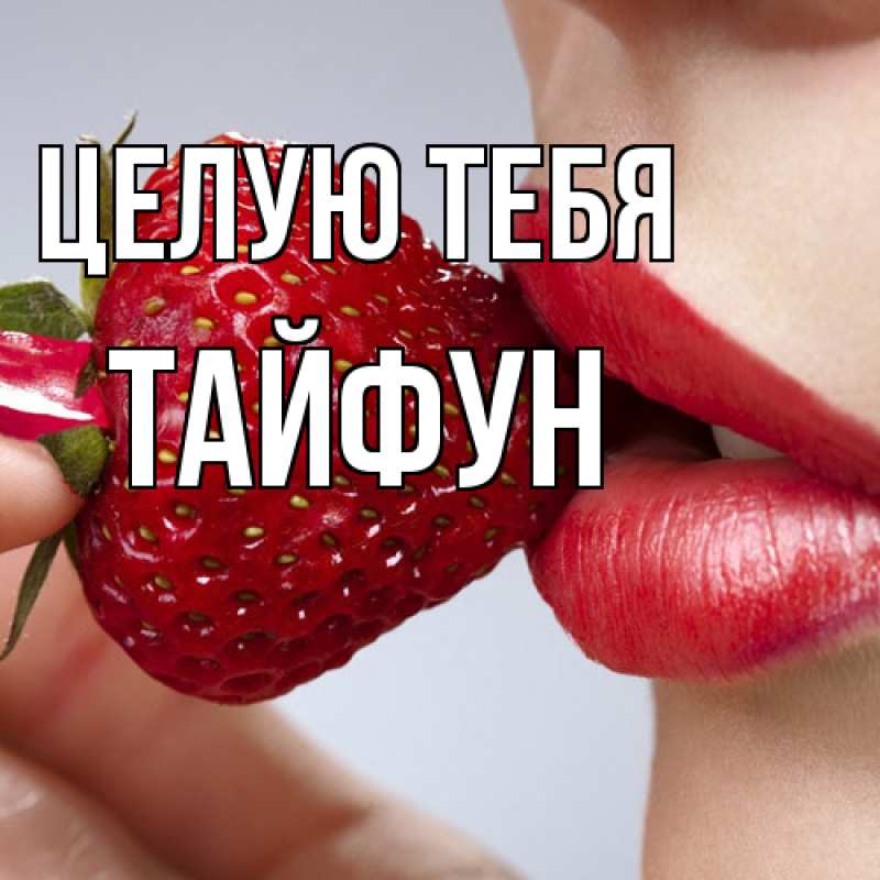 Картинка Целую тебя, Тайфун