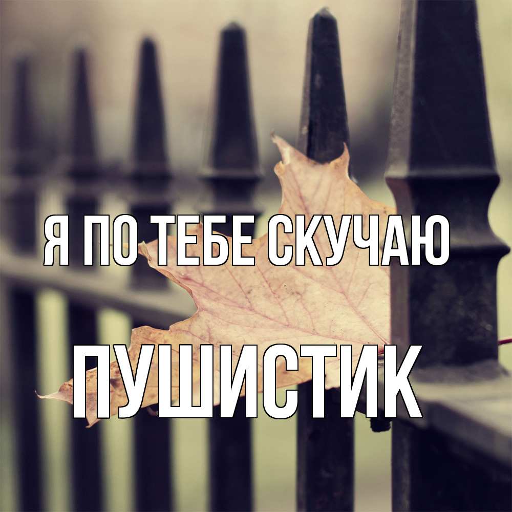 Открытка на каждый день с именем, Пушистик Я по тебе скучаю очень скучно Прикольная открытка с пожеланием онлайн скачать бесплатно 