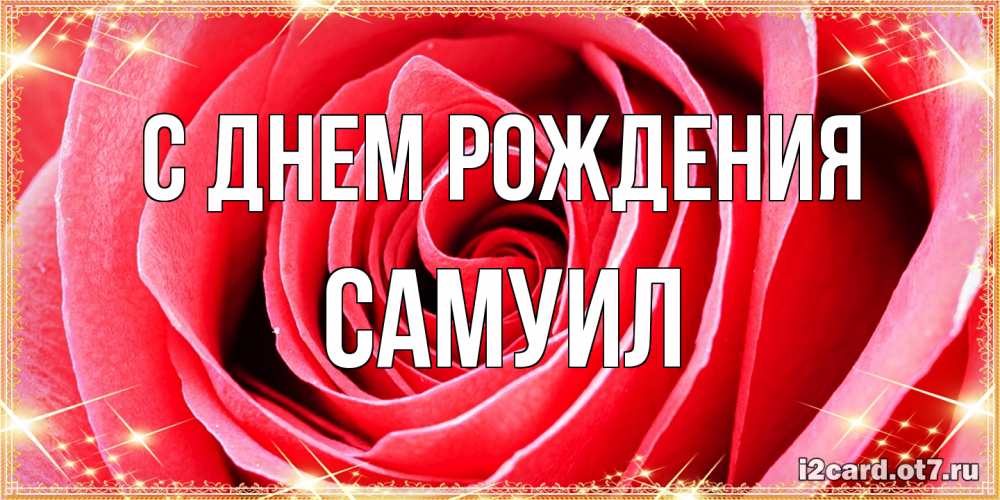 Открытка на каждый день с именем, Самуил С днем рождения розовая роза очень крупный бутон Прикольная открытка с пожеланием онлайн скачать бесплатно 