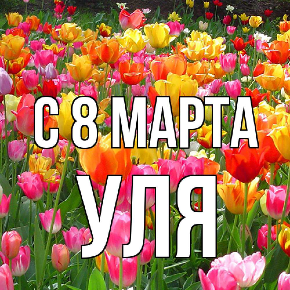 Открытка на каждый день с именем, Уля C 8 МАРТА на международный женский день Прикольная открытка с пожеланием онлайн скачать бесплатно 