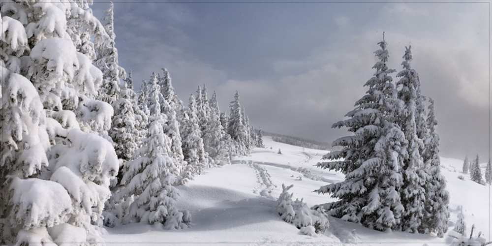 Открытка на каждый день с именем, Рудольф Доброе утро пасмурное утро Прикольная открытка с пожеланием онлайн скачать бесплатно 