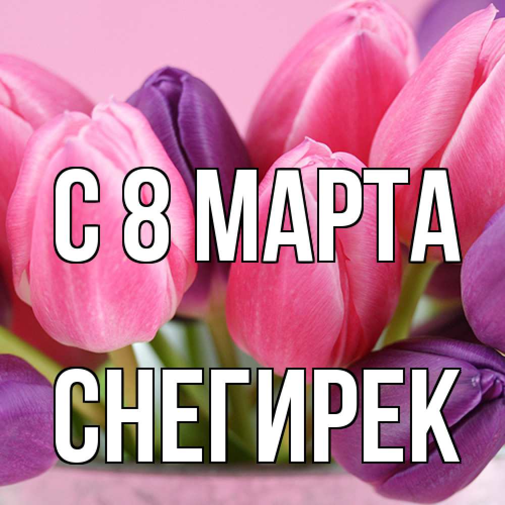 Открытка на каждый день с именем, снегирек C 8 МАРТА маме 1 Прикольная открытка с пожеланием онлайн скачать бесплатно 