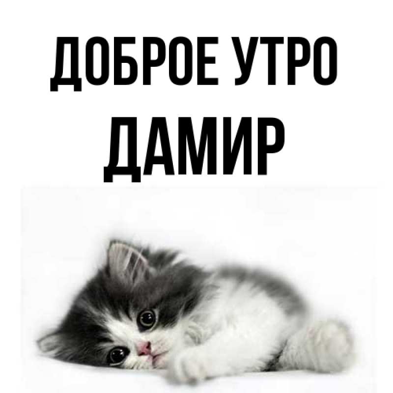Картинка Доброе утро, Дамир