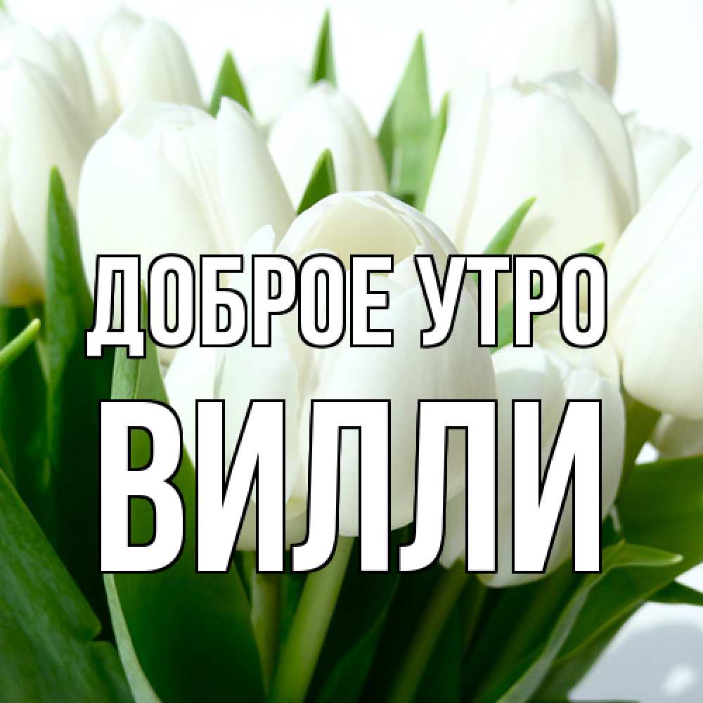 Открытка на каждый день с именем, Вилли Доброе утро открытки на каждый день по именам Прикольная открытка с пожеланием онлайн скачать бесплатно 