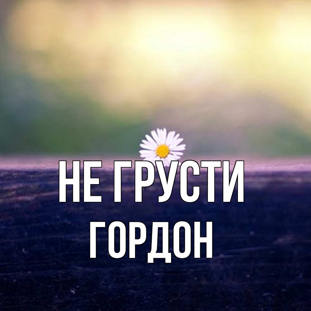 Открытка на каждый день с именем, Гордон Не грусти красота Прикольная открытка с пожеланием онлайн скачать бесплатно 