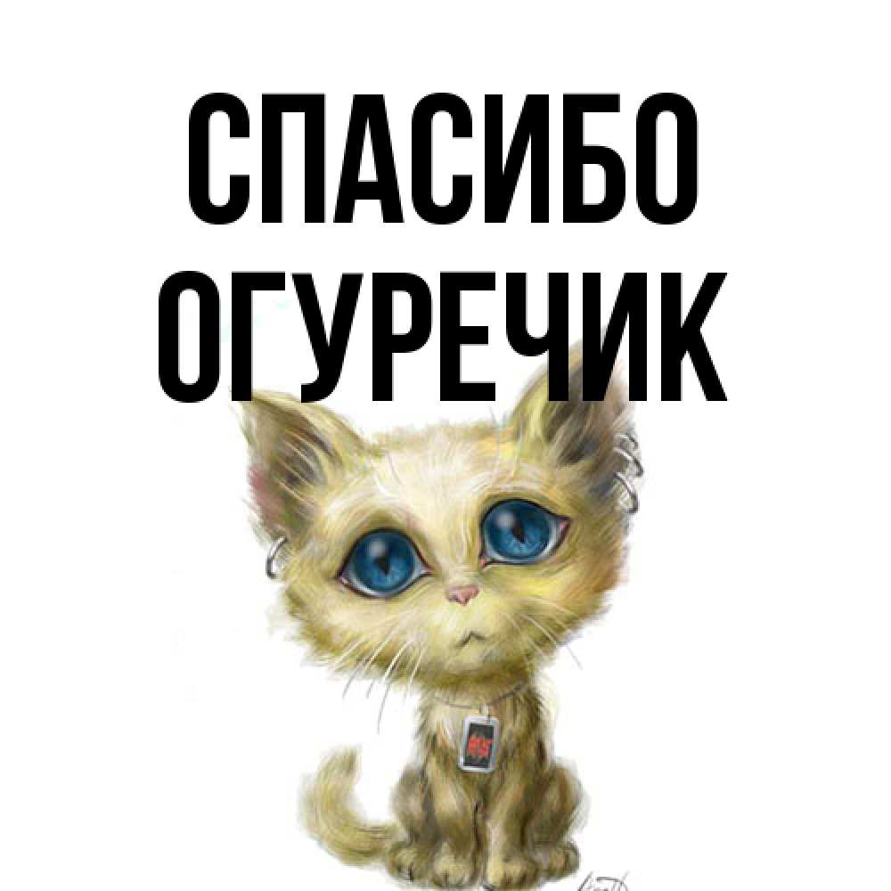 Открытка на каждый день с именем, Огуречик Спасибо рисованный кот благодарит вас Прикольная открытка с пожеланием онлайн скачать бесплатно 