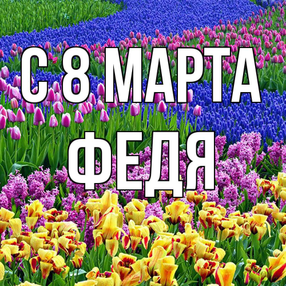 Открытка на каждый день с именем, Федя C 8 МАРТА цветы Прикольная открытка с пожеланием онлайн скачать бесплатно 