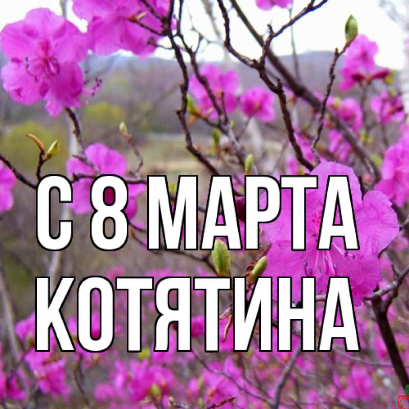 Картинка C 8 МАРТА, Котятина