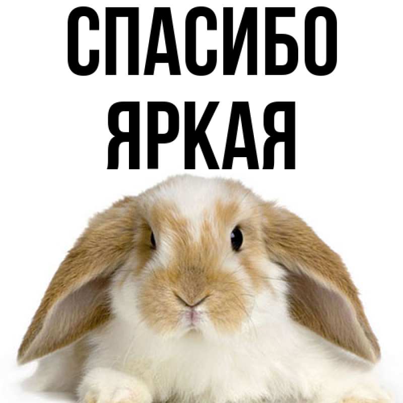 Картинка Спасибо, яркая