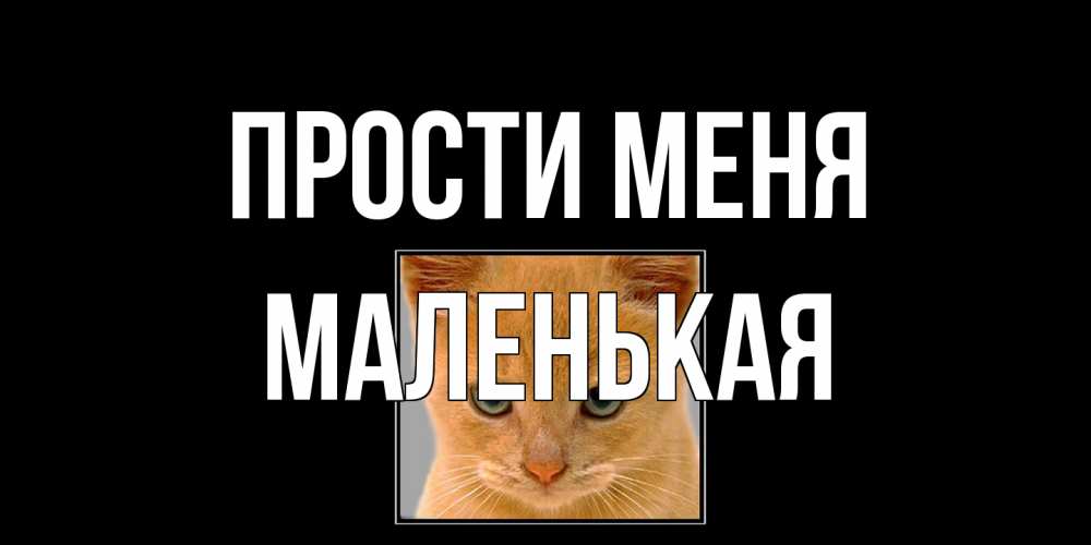 Открытка на каждый день с именем, Маленькая Прости меня рыжий грустный кот просит прощения Прикольная открытка с пожеланием онлайн скачать бесплатно 