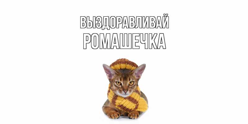 Картинка Выздоравливай, Ромашечка