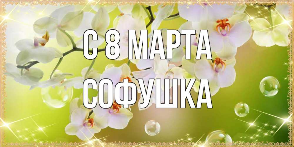 Открытка на каждый день с именем, Софушка C 8 МАРТА открытка с цветами на международный женский день Прикольная открытка с пожеланием онлайн скачать бесплатно 