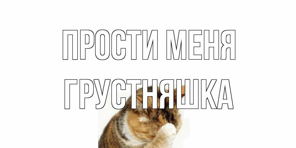 Открытка на каждый день с именем, Грустняшка Прости меня кот Прикольная открытка с пожеланием онлайн скачать бесплатно 