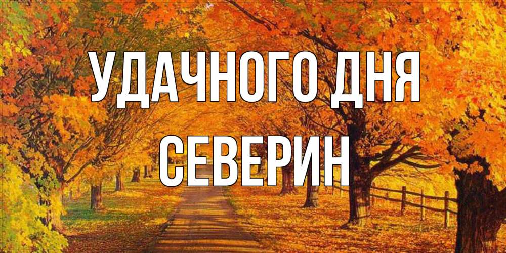 Открытка на каждый день с именем, Северин Удачного дня деревья с осенними листьями Прикольная открытка с пожеланием онлайн скачать бесплатно 