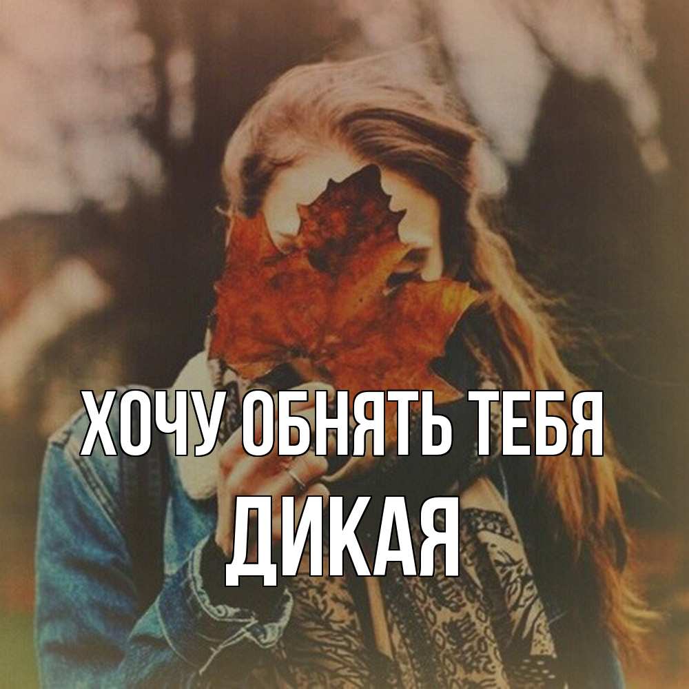 Открытка на каждый день с именем, дикая Хочу обнять тебя осеннее настроение и рыжая Прикольная открытка с пожеланием онлайн скачать бесплатно 