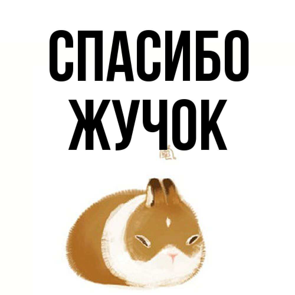 Открытка на каждый день с именем, жучок Спасибо коричнево белый домашний питомец Прикольная открытка с пожеланием онлайн скачать бесплатно 