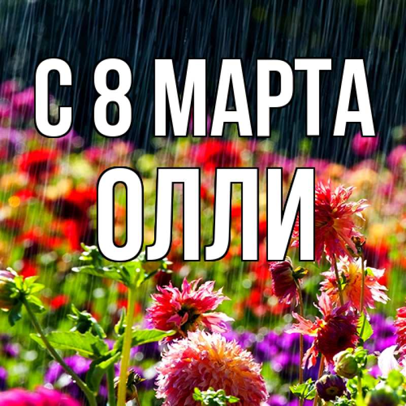 Картинка C 8 МАРТА, Олли