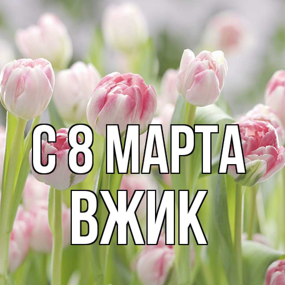 Открытка на каждый день с именем, Вжик C 8 МАРТА цветы Прикольная открытка с пожеланием онлайн скачать бесплатно 