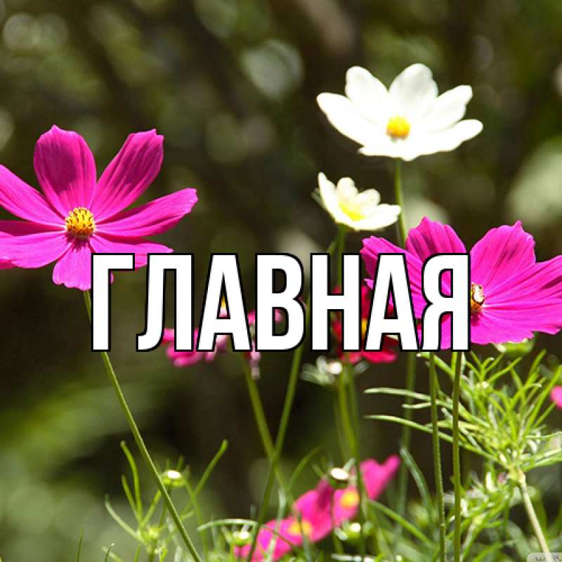 Картинка  с именем , Анна