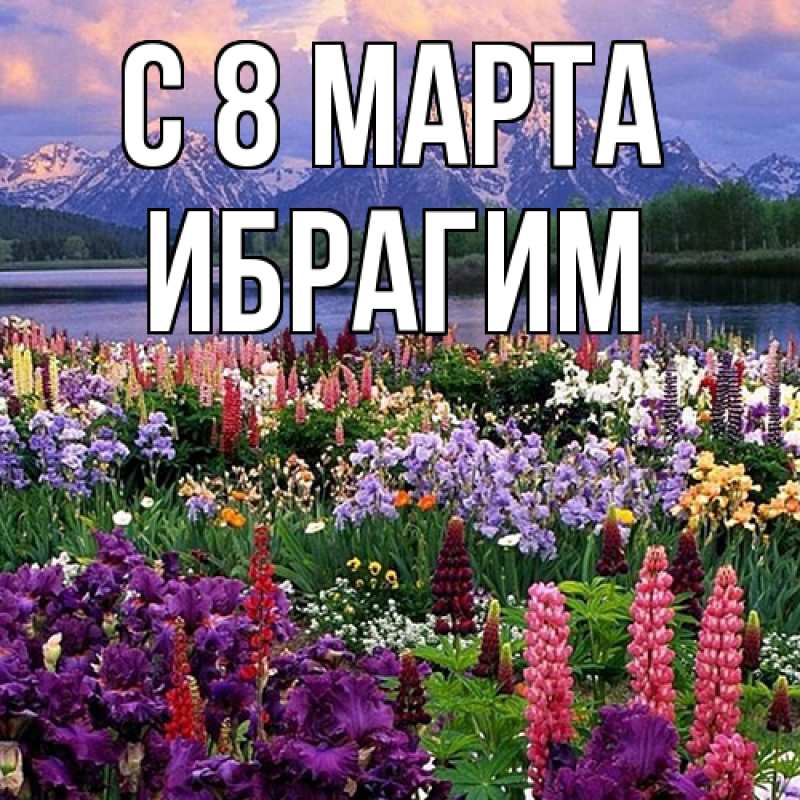 Картинка C 8 МАРТА, Ибрагим