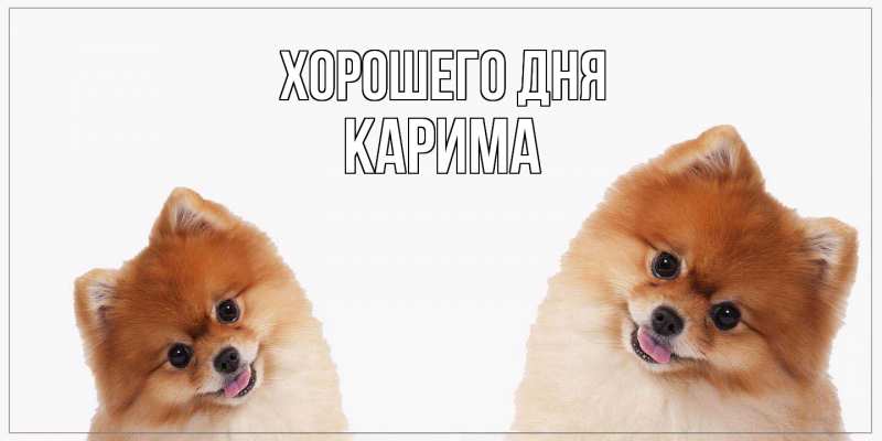 Картинка Хорошего дня, Карима