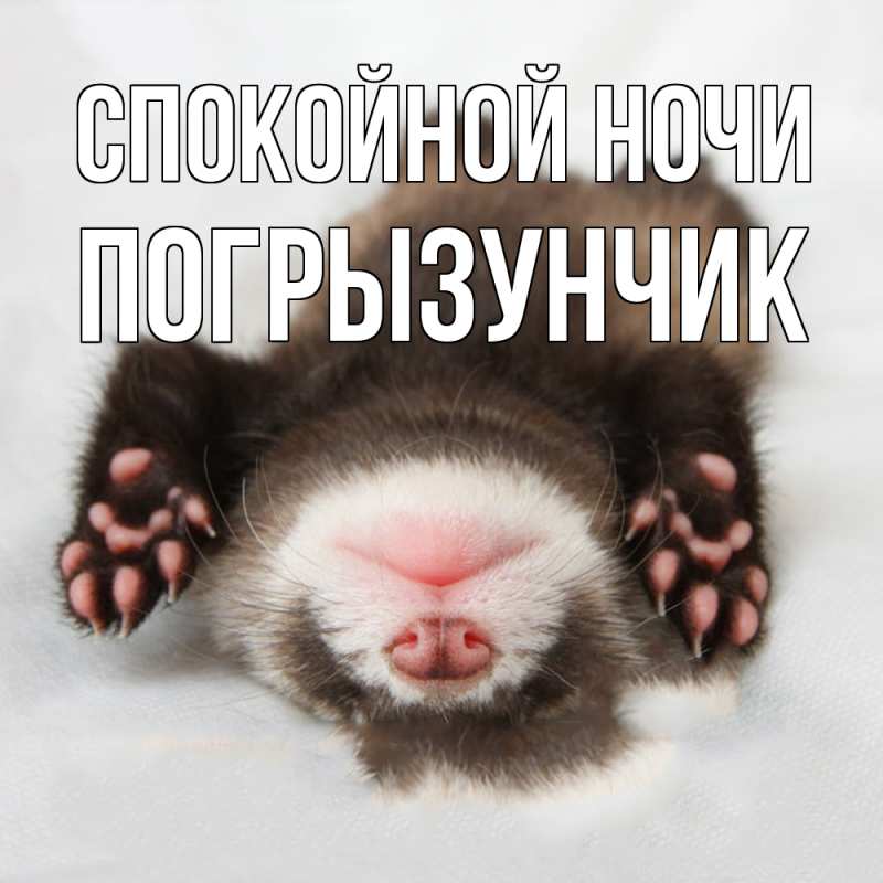 Картинка Спокойной ночи, Погрызунчик