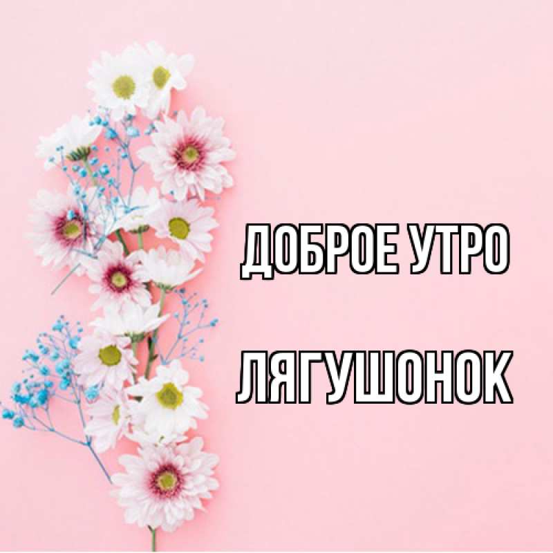 Картинка Доброе утро, лягушонок