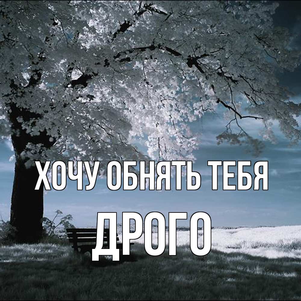 Открытка на каждый день с именем, Дрого Хочу обнять тебя дерево Прикольная открытка с пожеланием онлайн скачать бесплатно 