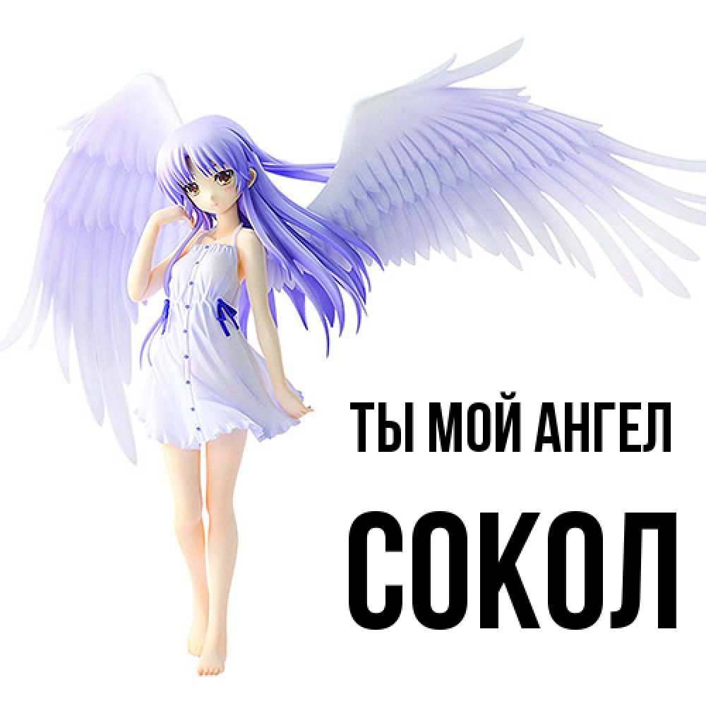 Открытка на каждый день с именем, Сокол Ты мой ангел девушка ангел с фиолетовыми крыльями Прикольная открытка с пожеланием онлайн скачать бесплатно 