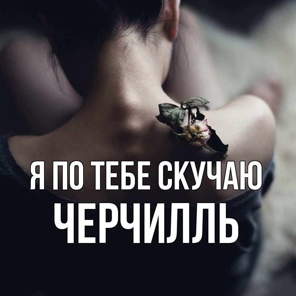 Открытка на каждый день с именем, Черчилль Я по тебе скучаю засох цветок Прикольная открытка с пожеланием онлайн скачать бесплатно 
