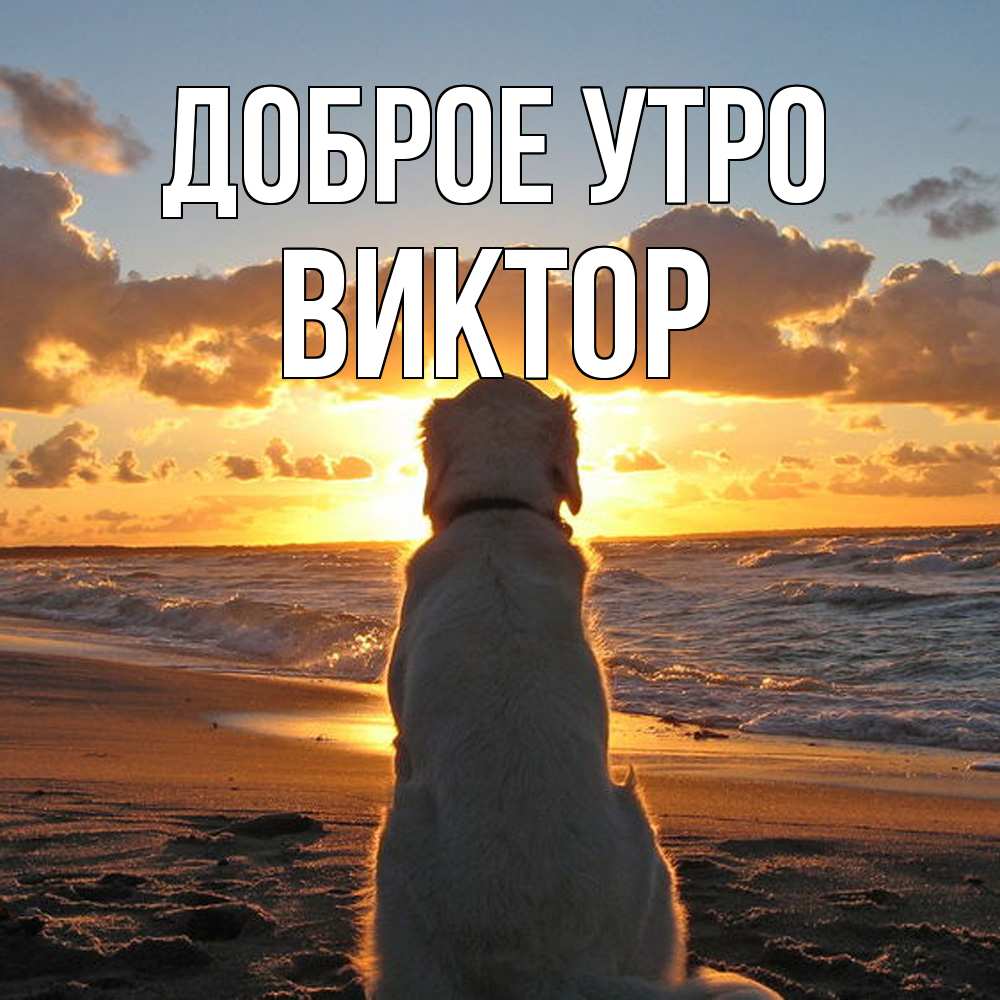 Открытка на каждый день с именем, Виктор Доброе утро восход солнца Прикольная открытка с пожеланием онлайн скачать бесплатно 