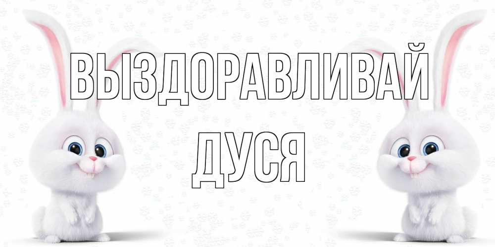 Открытка на каждый день с именем, Дуся Выздоравливай не болей с зайцем Прикольная открытка с пожеланием онлайн скачать бесплатно 