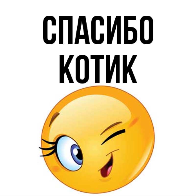 Картинка Спасибо, Котик