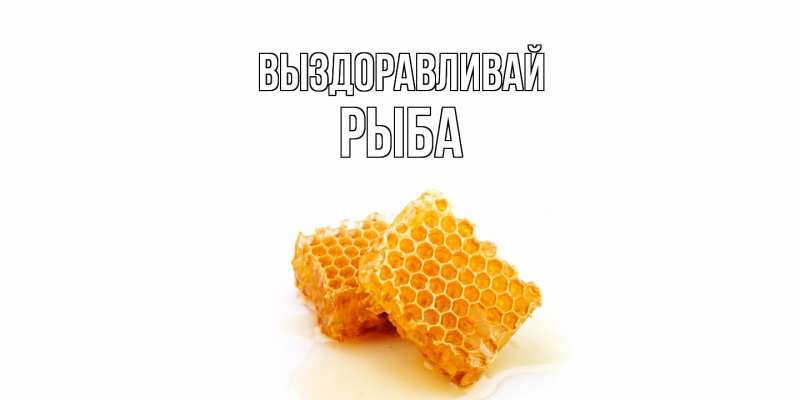 Картинка Выздоравливай, Рыба