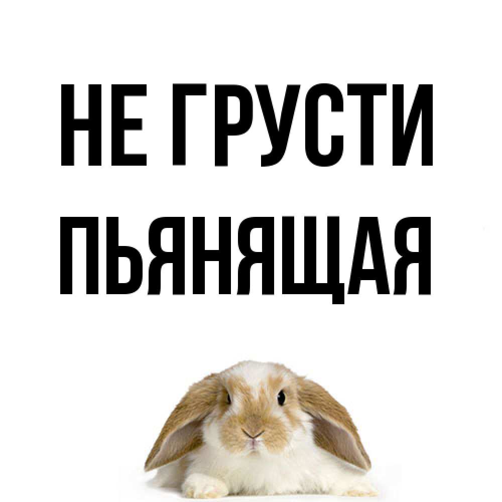 Открытка на каждый день с именем, Пьянящая Не грусти коричнево белый заяц с большими ушками Прикольная открытка с пожеланием онлайн скачать бесплатно 